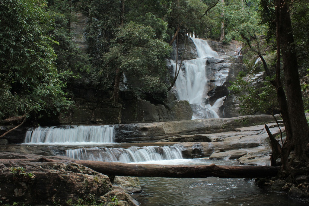 Peppara Wildlife Sanctuary