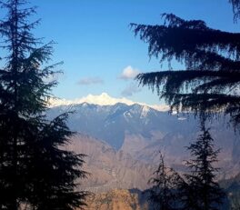 Why Mussoorie is the perfect winter holiday destination?